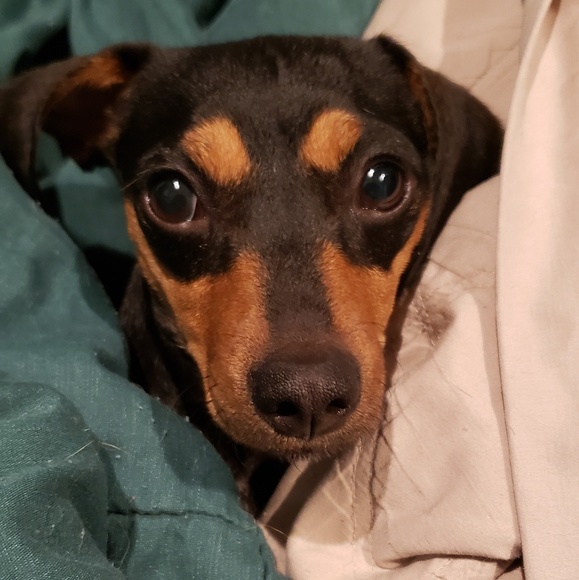 Meet your Posher, Larisa - Picture 3 of 8